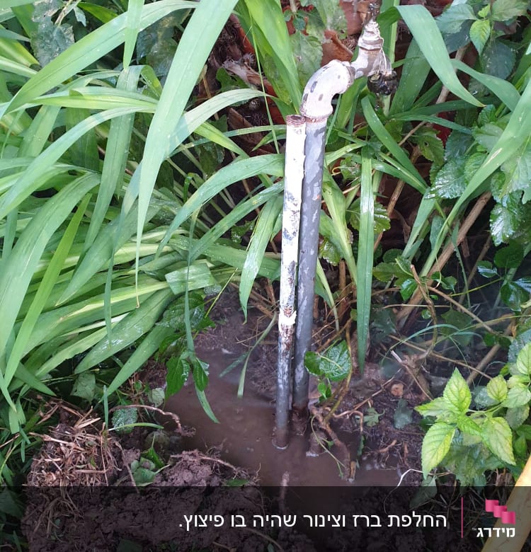 ברז מים בגינה עם צינור חשוף באדמה